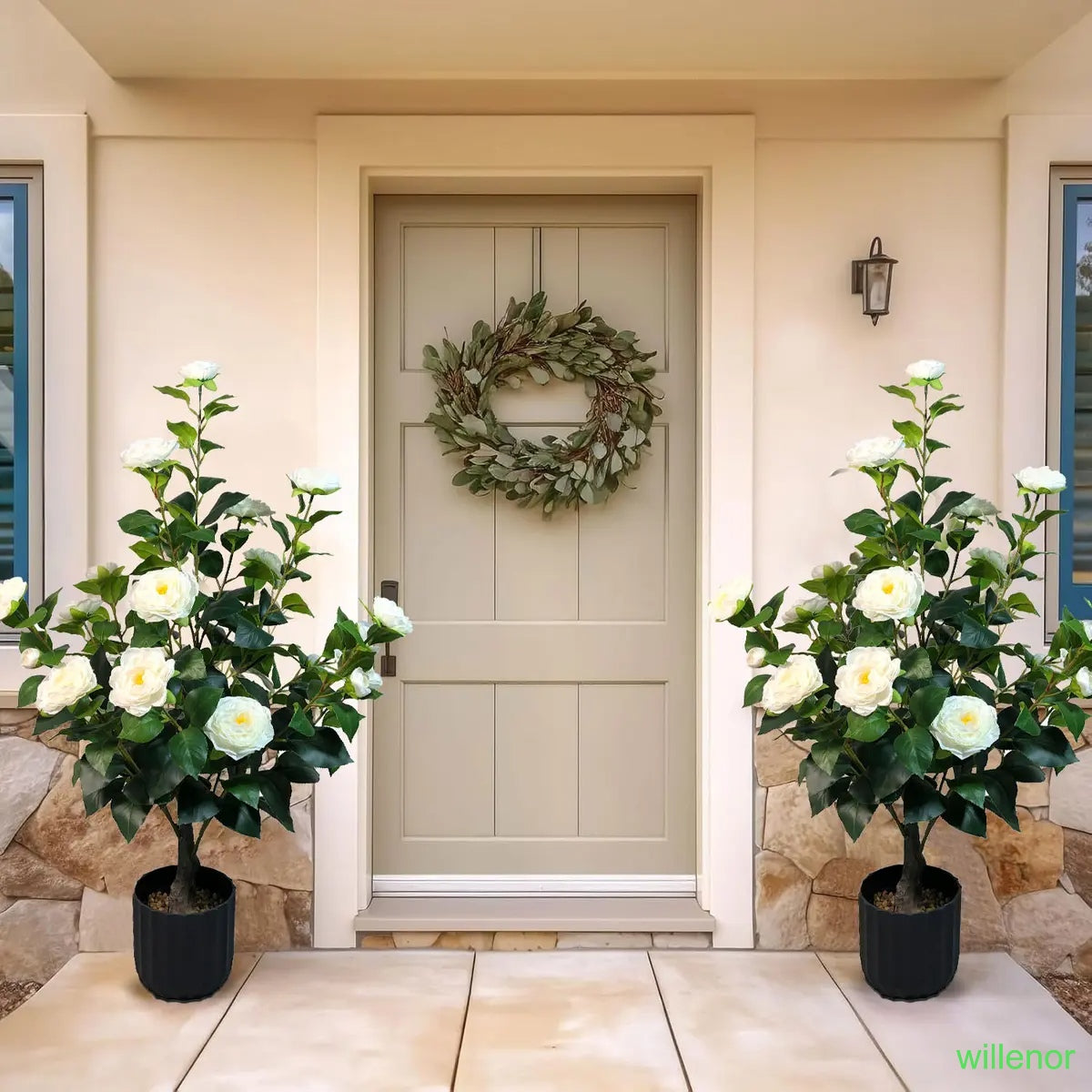 Two 3-foot camellia trees, complete with decorative pebbles and a flower pot
