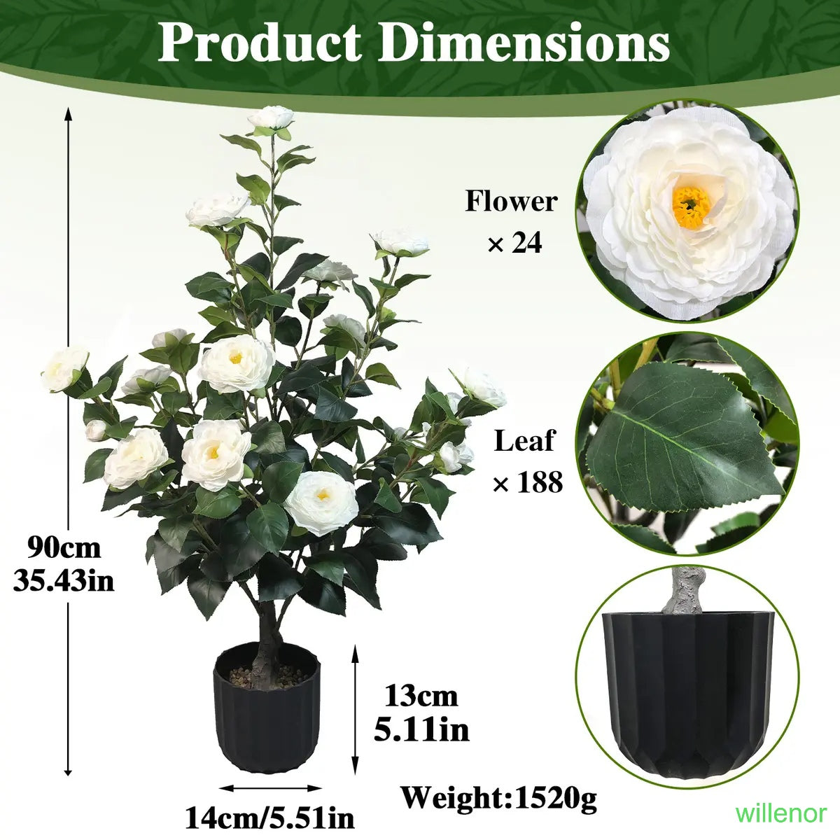 Two 3-foot camellia trees, complete with decorative pebbles and a flower pot